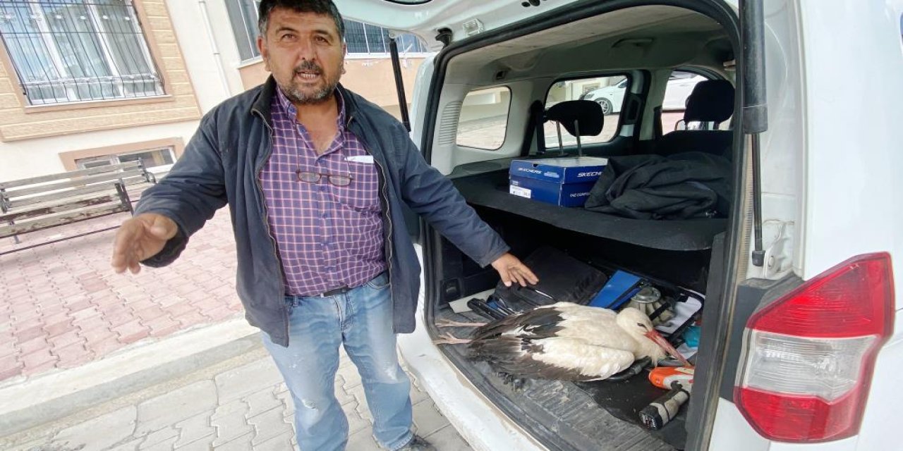 Konyalı vatandaştan alkışlanacak hareket! Yaralı leyleği kaderine bırakmadı