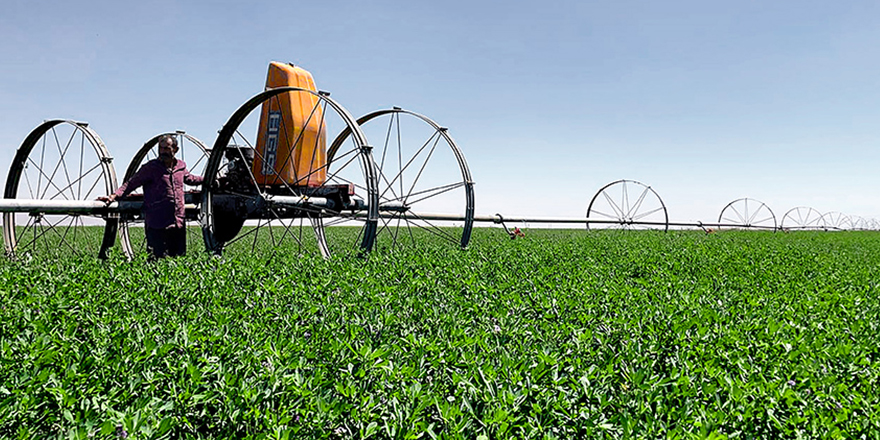 Konya Ovası'nda "motorlu sulama sistemi" çiftçinin işini kolaylaştırıyor