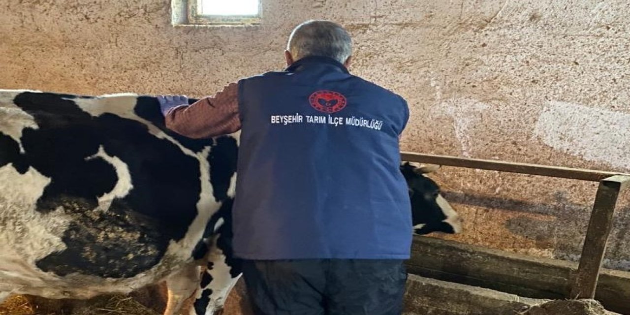 Beyşehir'de o hayvan hastalığı için aşı sayısı 3'e çıktı! Hayvanlarınızı aşılayın çağrısı