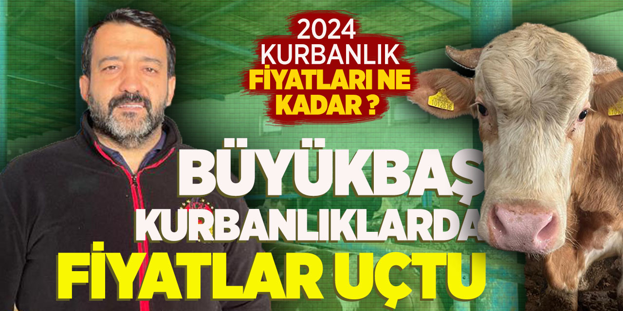 Büyükbaş kurbanlıklarda fiyatlar uçtu