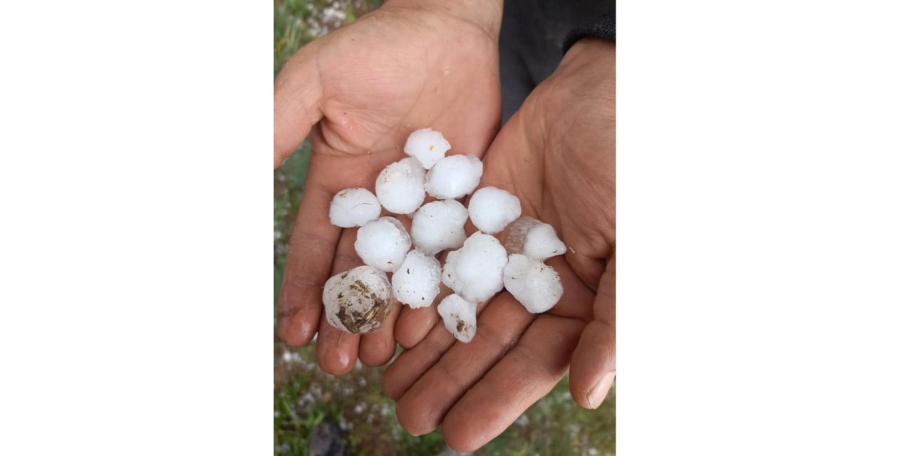 Yunak ve Çeltik beyaza büründü! Etkili olan dolu yağışı tarımsal alanlarda büyük hasara neden oldu