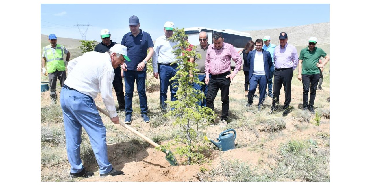 KSO, 50. yılı için 10 bin fidan dikti