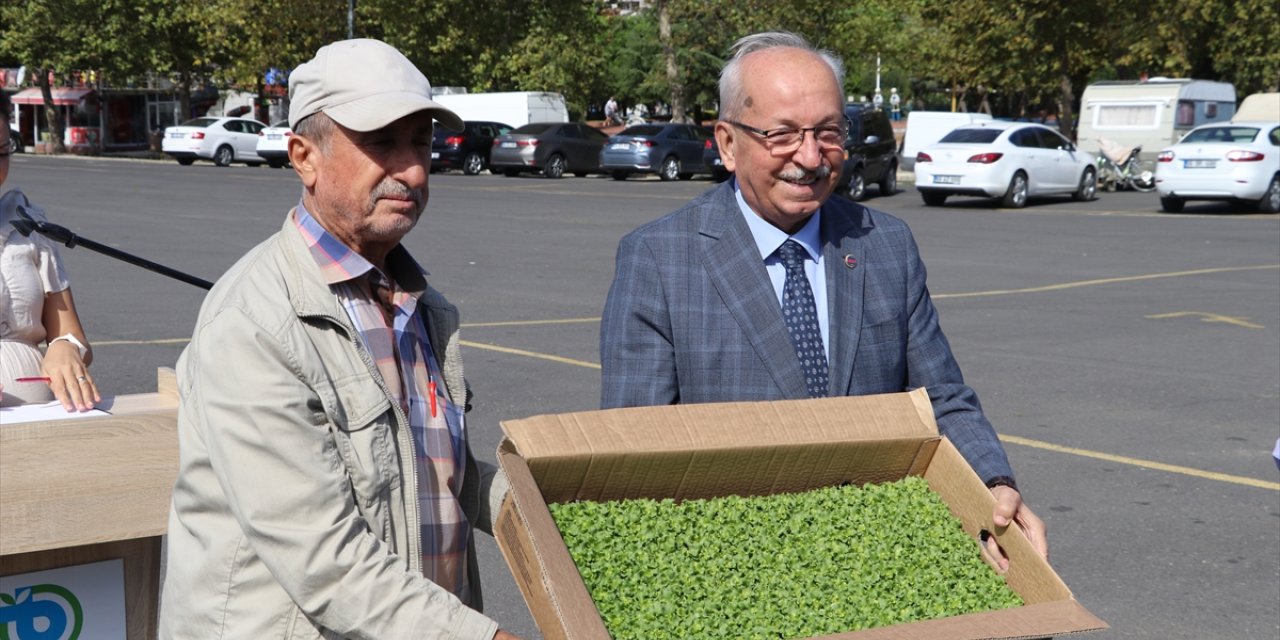 Tekirdağ'da üreticilere 125 bin sebze fidesi dağıtıldı