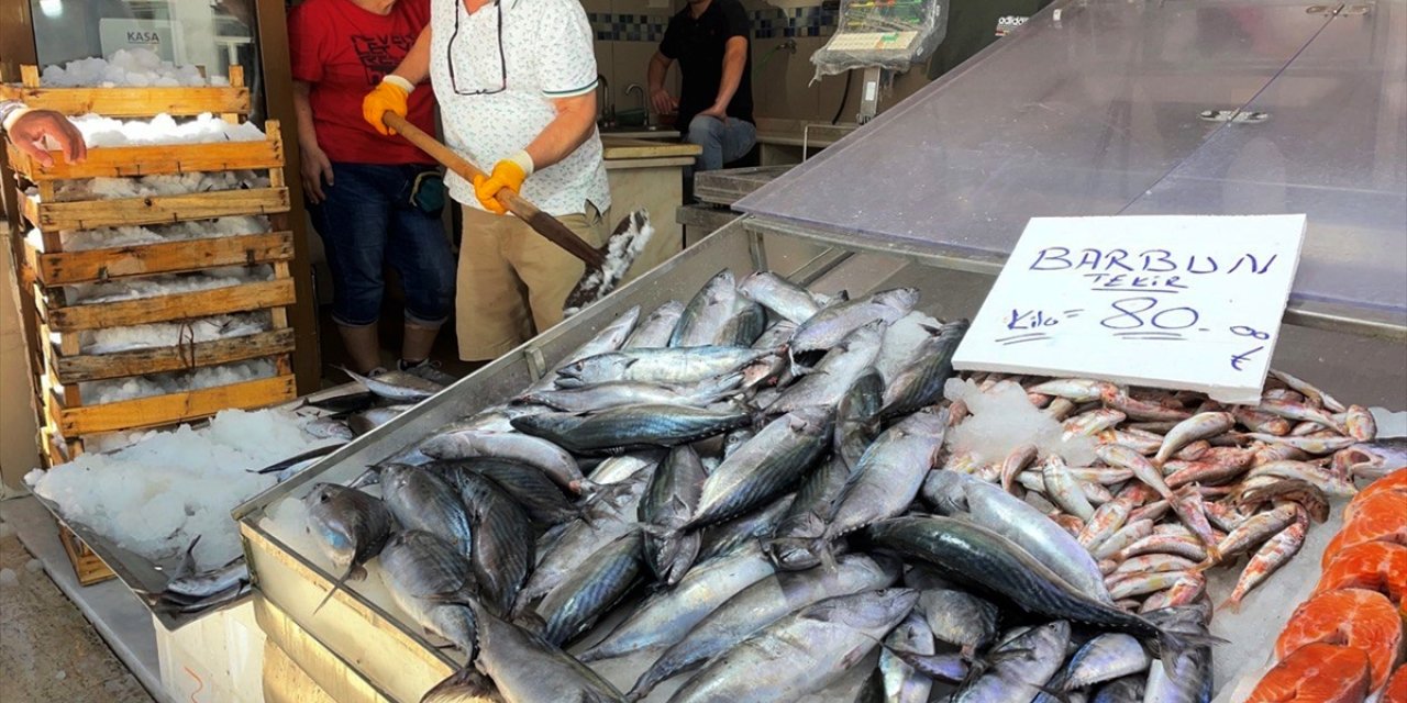 Az miktarda avlanan palamudun tane fiyatı 80 liraya kadar yükseldi