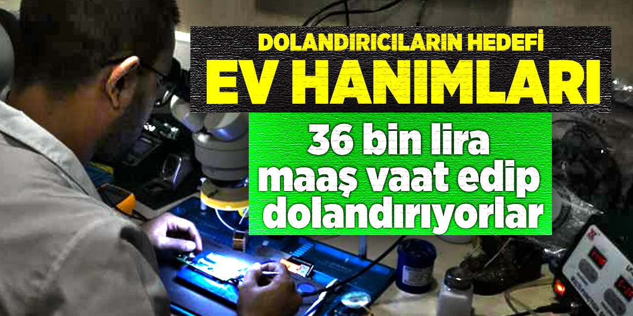 Dolandırıcıların hedefi ev hanımları! 36 bin lira maaş vaat edip dolandırıyorlar
