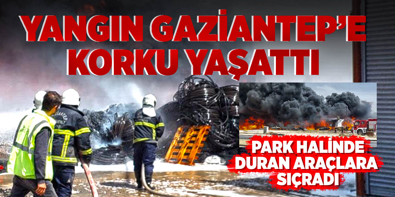 Yangın Gaziantep'e korku yaşattı