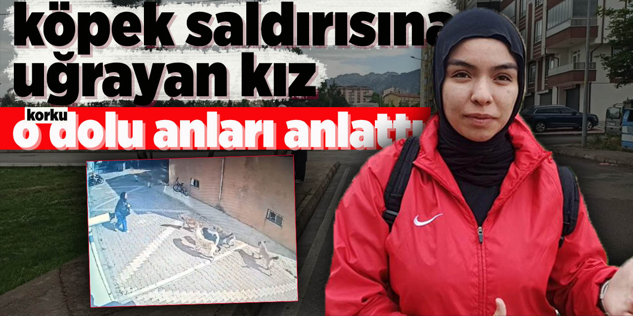 Köpek saldırısına uğrayan kız o korku dolu anları anlattı