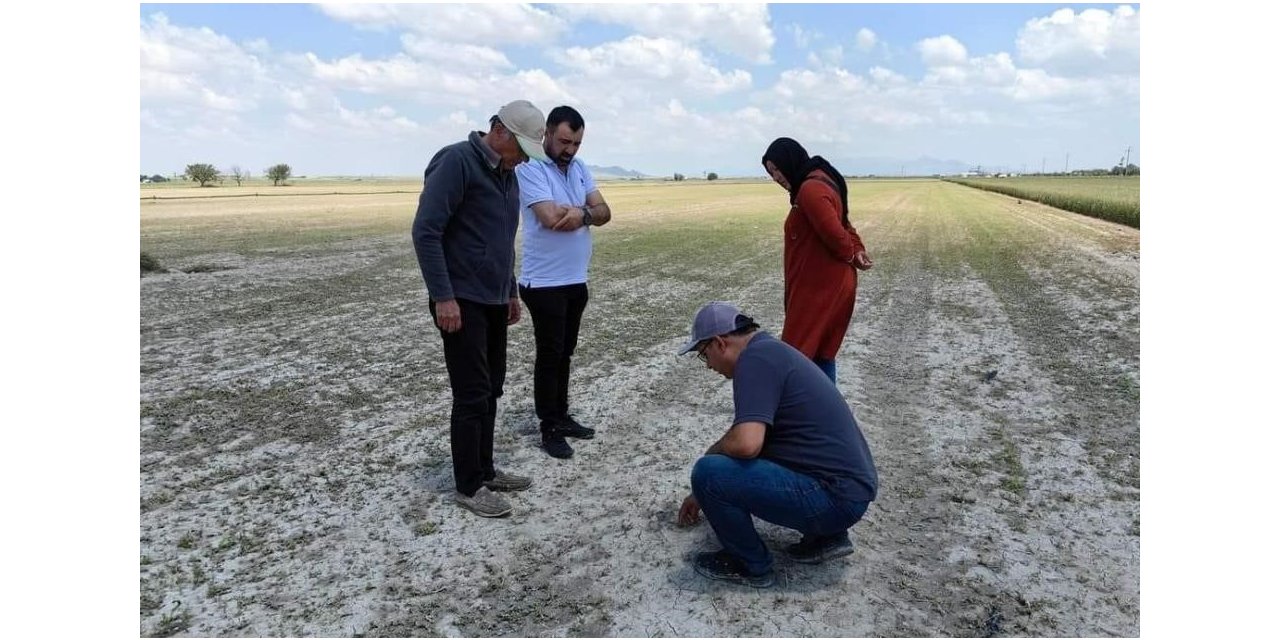 Karapınar’da dolu ve sağanak sonrası hasar tespit çalışmaları sürüyor