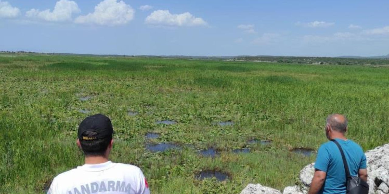 Adres Beyşehir! Yasak avlanmalara göz açtırılmıyor