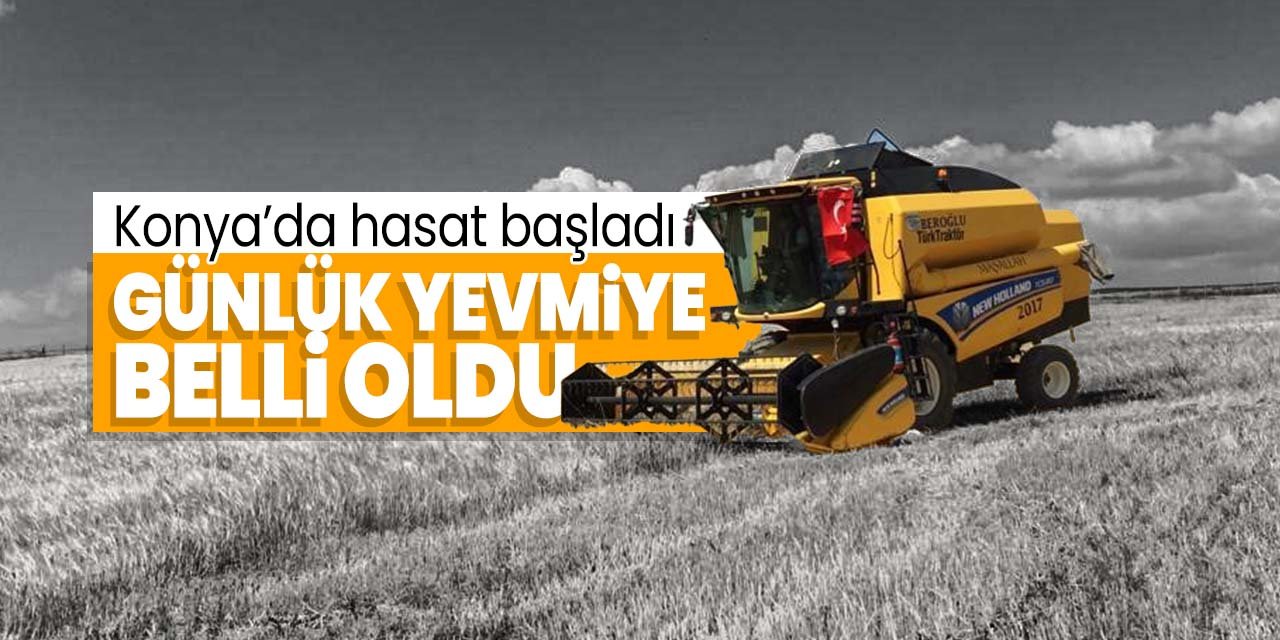 Konya'da hasat başladı! Tarım işçilerinin günlük yevmiyesi belli oldu!