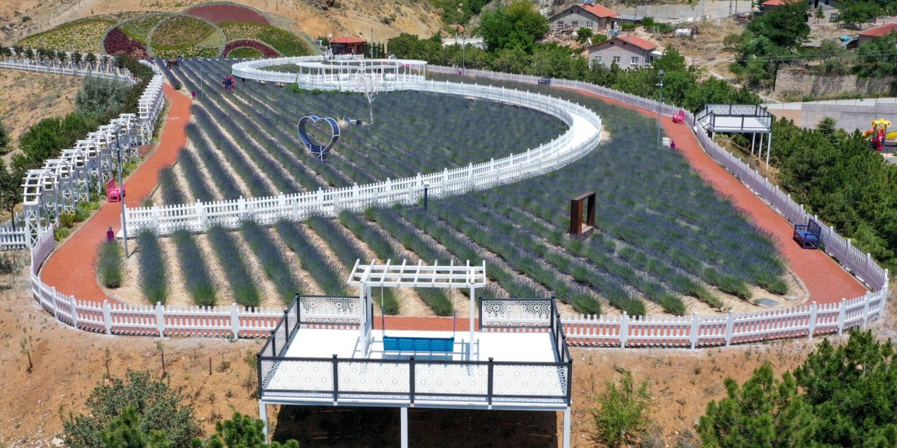 Meram'ın gezi ve kültür rotası ilgi görüyor! Meram Lavanta Bahçesi misafirlerine eşsiz anlar yaşatıyor