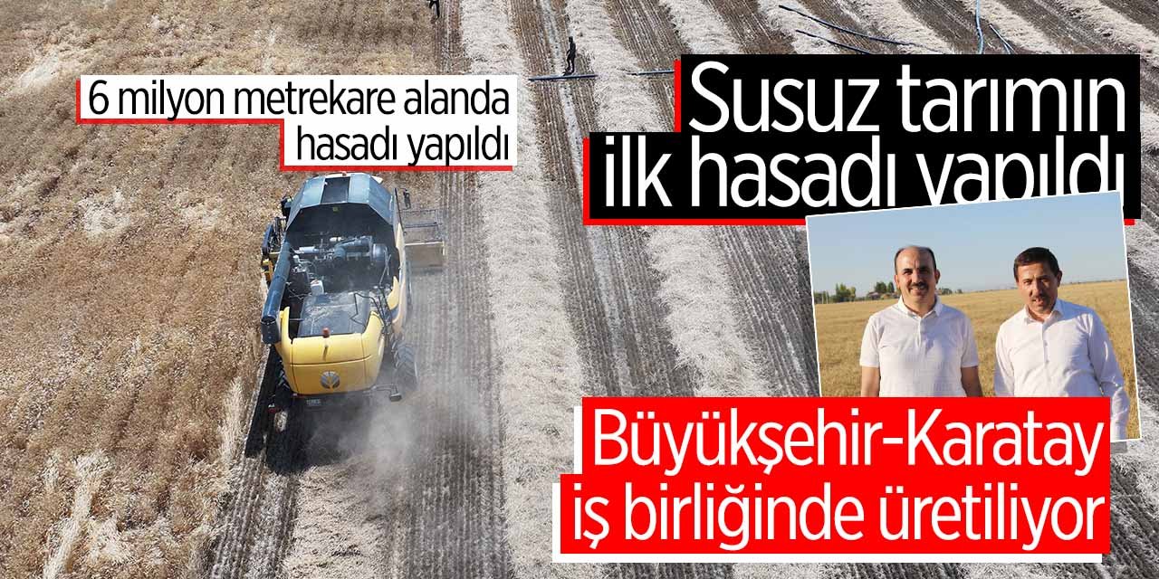 Konya'da susuz tarımın ilk hasadı 6 milyon metrekare alanda yapıldı!