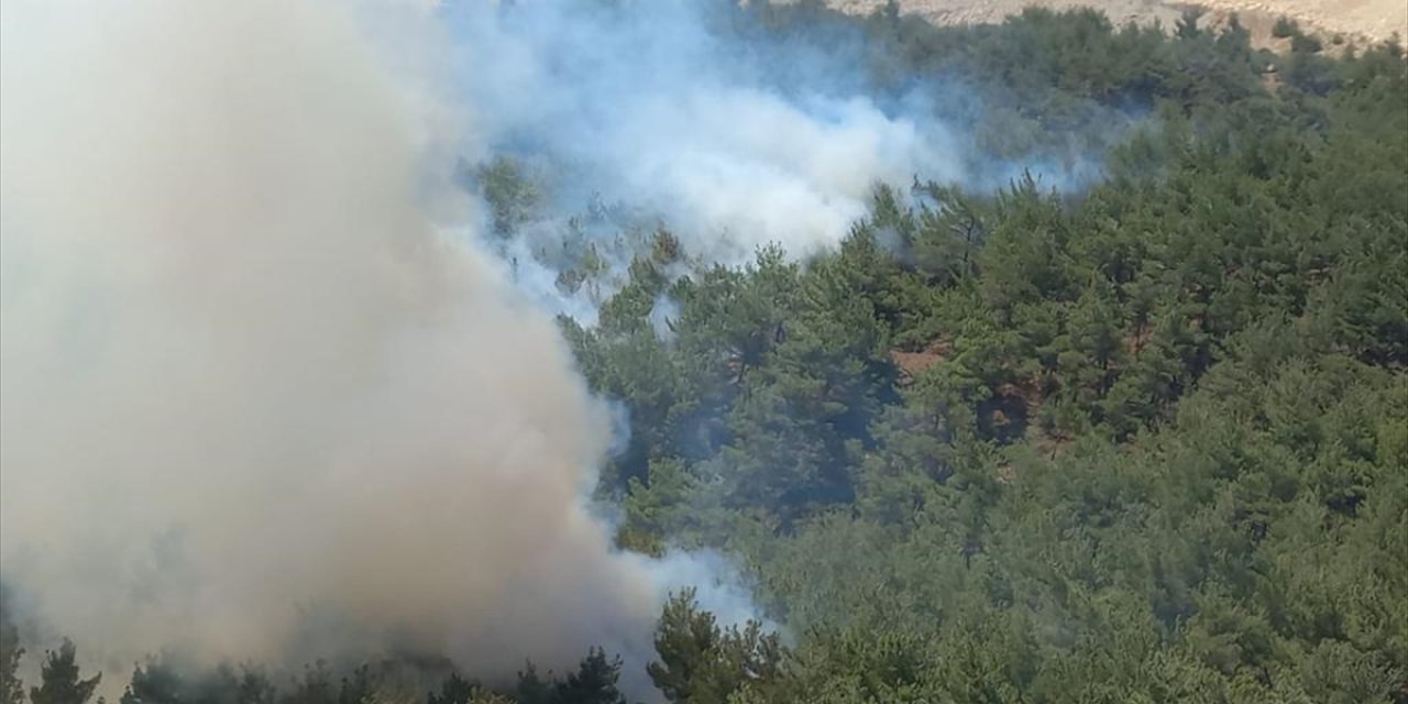 Manisa'da çıkan orman yangınına müdahale ediliyor
