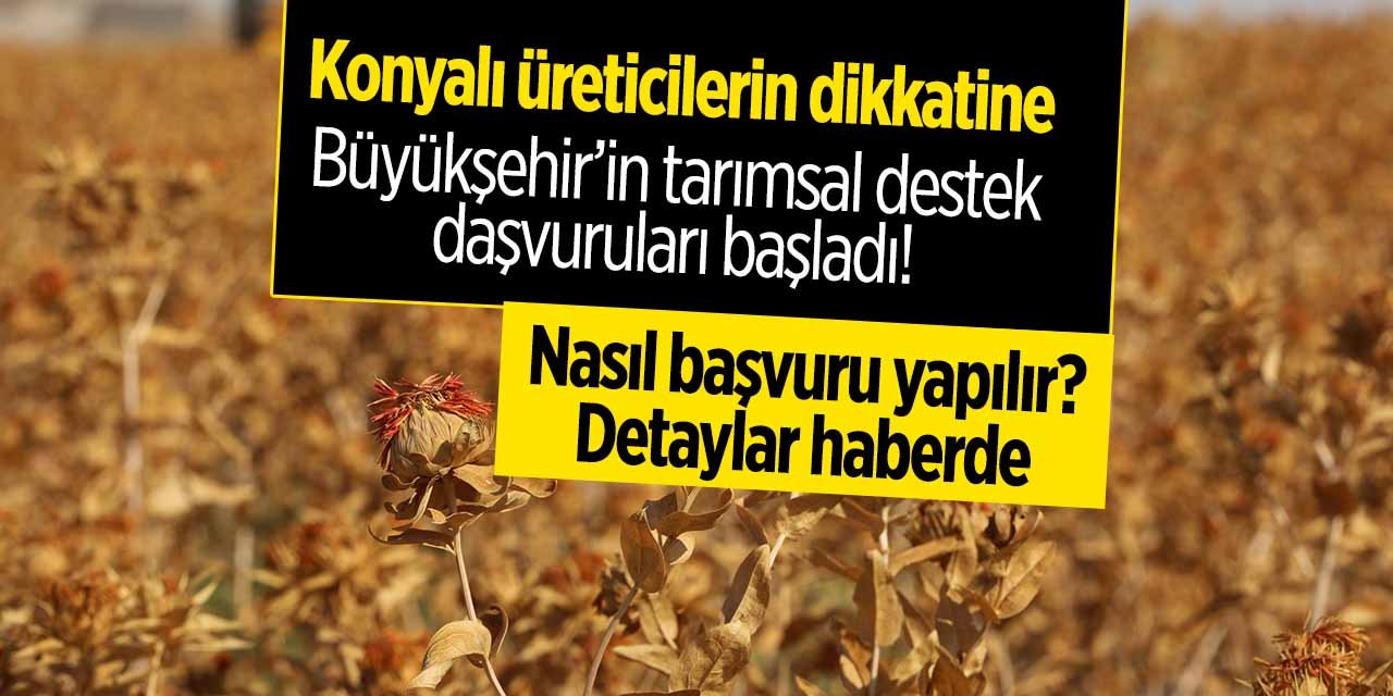 Konyalı üreticilerin dikkatine! Belediye tarımsal destek veriyor: Başvurular başladı!
