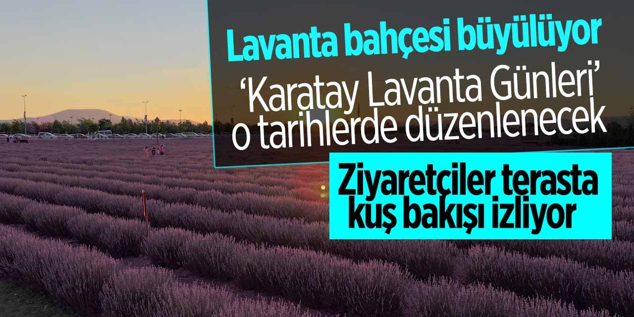 Karatay'da Lavanta Günleri gün sayıyor! Ziyaretçiler terasta kuş bakışı izleyecek