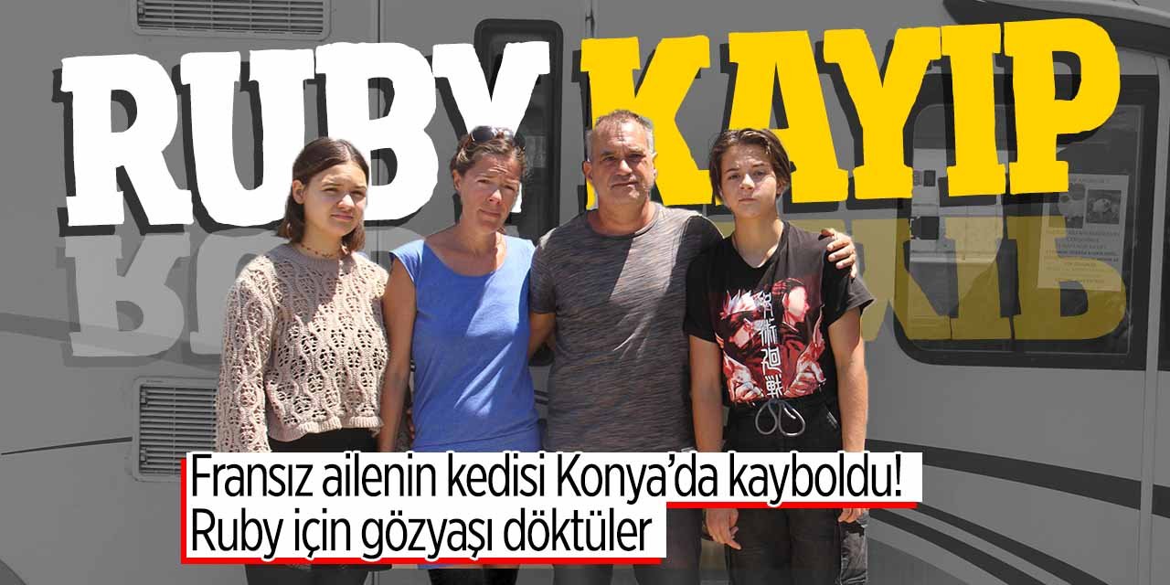 Turistlerin kedisi Ruby Konya'da kayboldu! Fransız aile üzüntülü