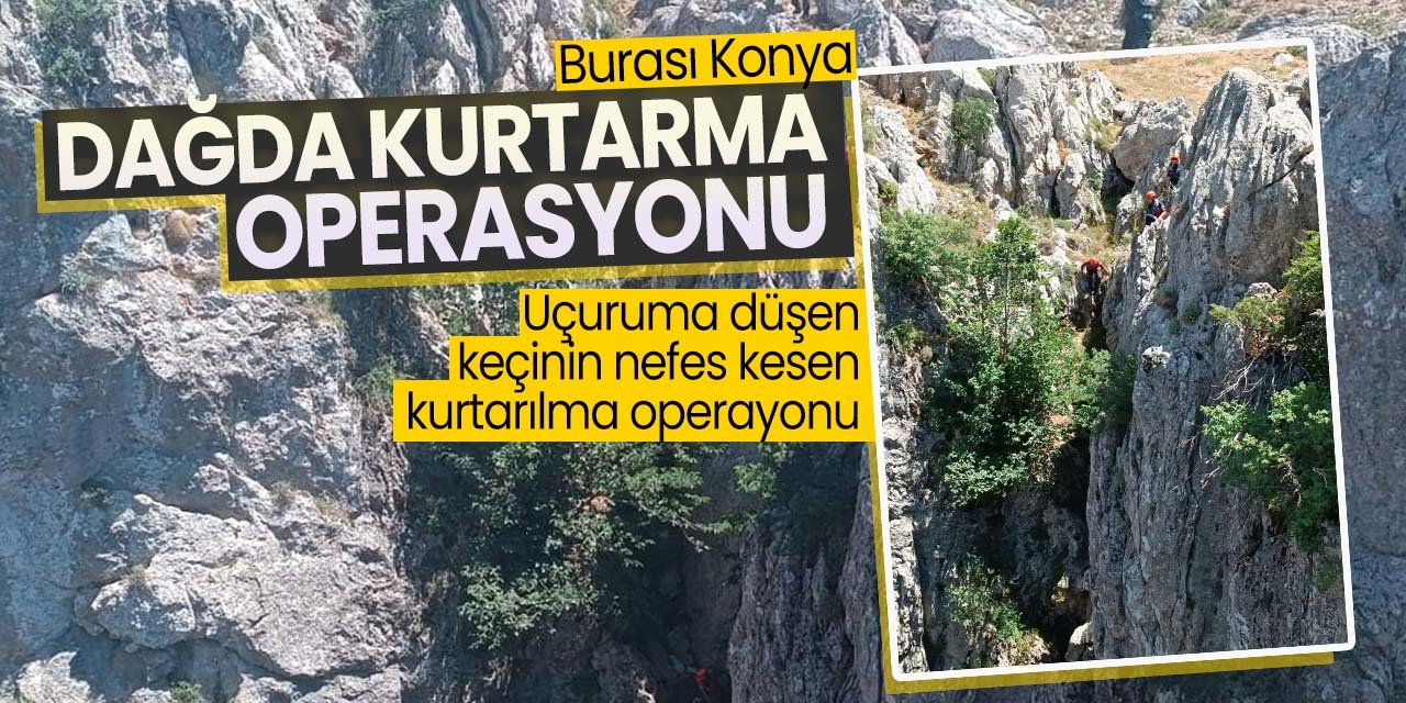 Konya'da uçuruma düşen keçi zorlu bir operasyonla kurtarıldı!