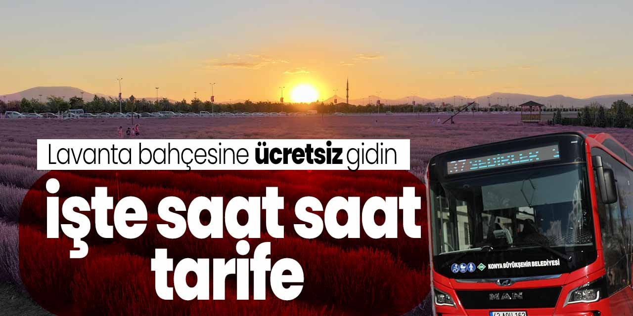 Konya'da lavanta bahçesine ücretsiz gidilebiliyor! İşte sefer saatleri
