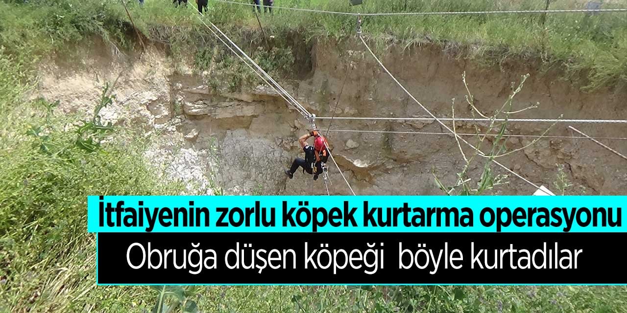 Konya itfaiyesinin zorlu köpek kurtarma operasyonu! Obruğa düşen köpek böyle kurtarıldı!