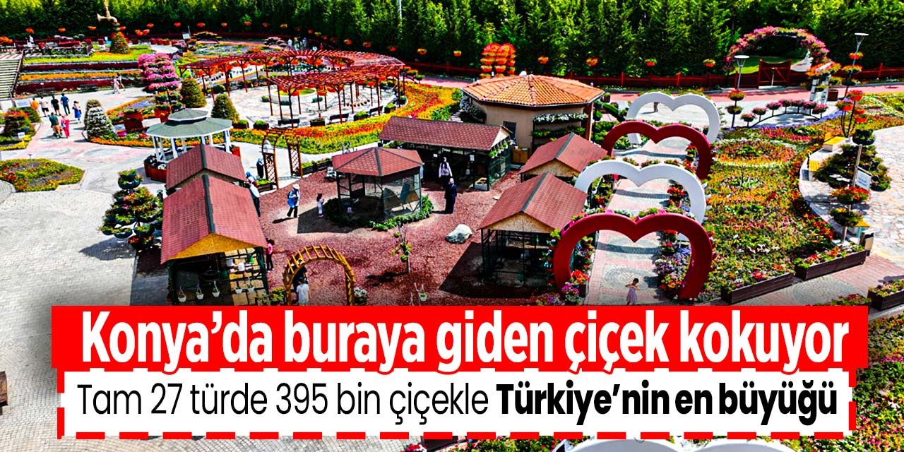 Konya'da çiçek koklamak isteyenlerin uğrak noktası oldu. 65 çeşitte tam 395 bin çiçek burada sizi selamlıyor