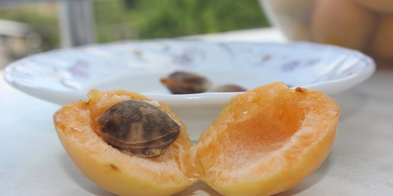 Kayısı deyip geçmeyin, faydası saymakla bitmiyor. İşte kayısının vücudunuza faydalı 12 özelliği