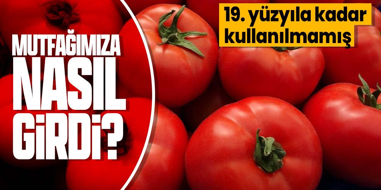 Şimdilerde hemen her yemekte kullandığımız domates Türk mutfağına nasıl girdi? Kırmızılaşınca atılıyormuş
