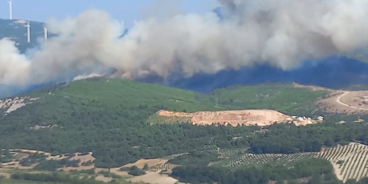 Manisa Soma'da bir orman yangını daha çıktı