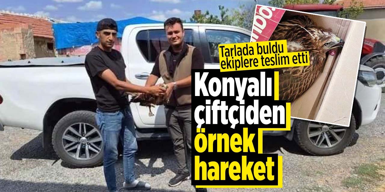 Konyalı çiftçiden örnek hareket! Tarlada buldu ekiplere teslim etti
