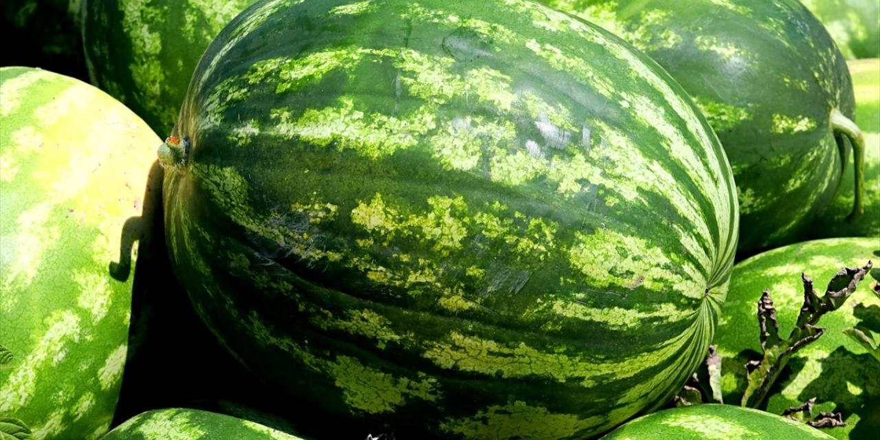 İyi kavun ve karpuzu bundan sonra rahatlıkla seçebileceksiniz. Bu teknikler çok önemli