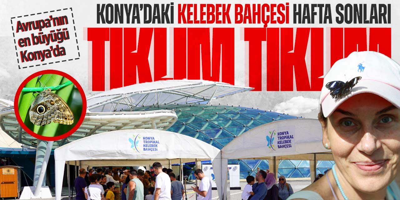 Konya'daki Avrupa'nın en büyük Tropikal Kelebek Bahçesi hafta sonları tıklım tıklım!