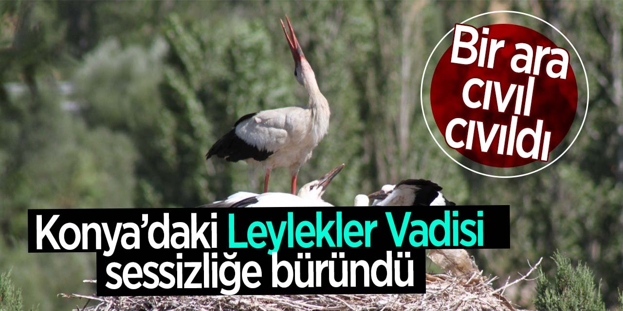 Konya'da bir ara cıvıl cıvıl olan vadide şimdilerde çıt çıkmıyor