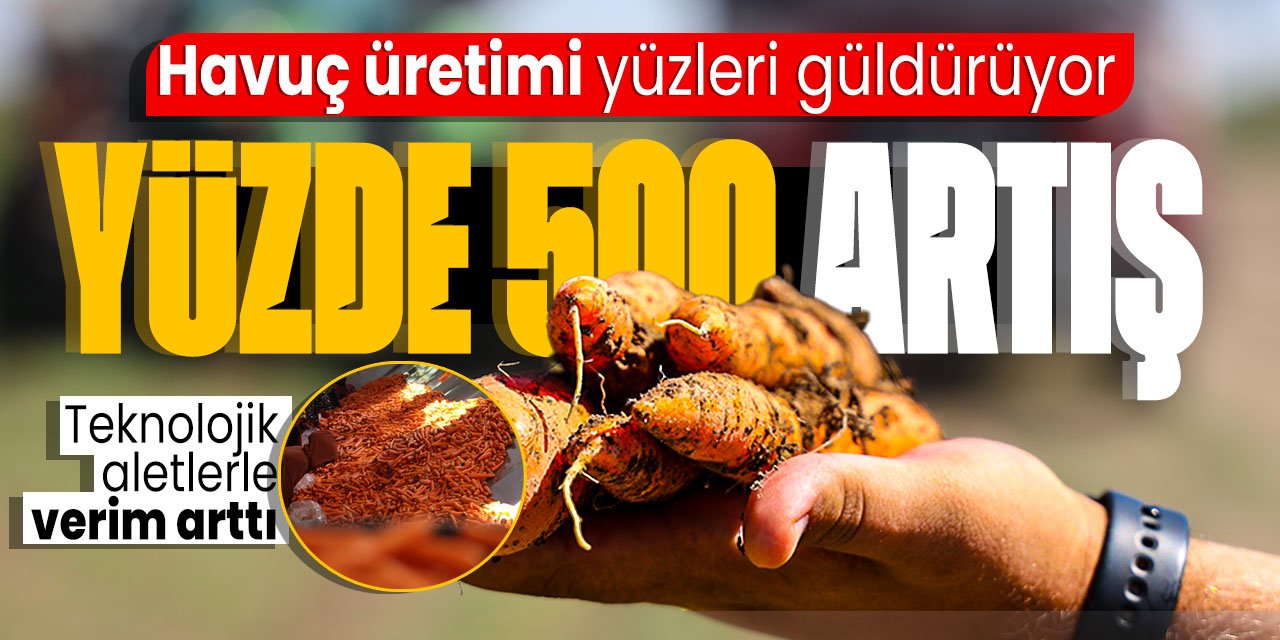 Havuç çiftçinin yüzünü güldürüyor! Şaşırtan artış: Tam 5 kat yükseldi! Teknolojiyle verimi daha çok artıyor