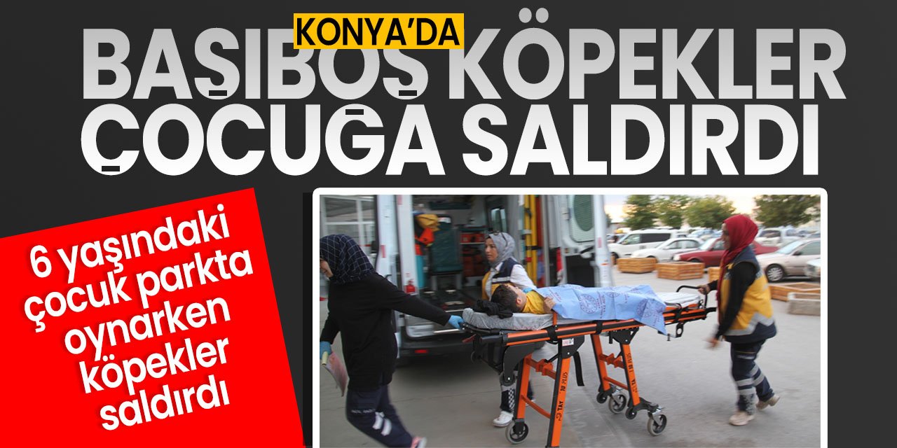 Konya'da başıboş köpekler 6 yaşındaki çocuğa saldırdı