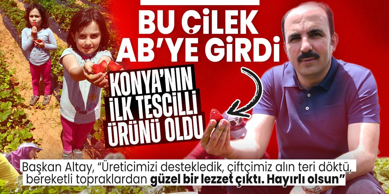 Konya'da bir ilk gerçekleşti! Konya'nın meşhur çileği Avrupa'da tescil aldı