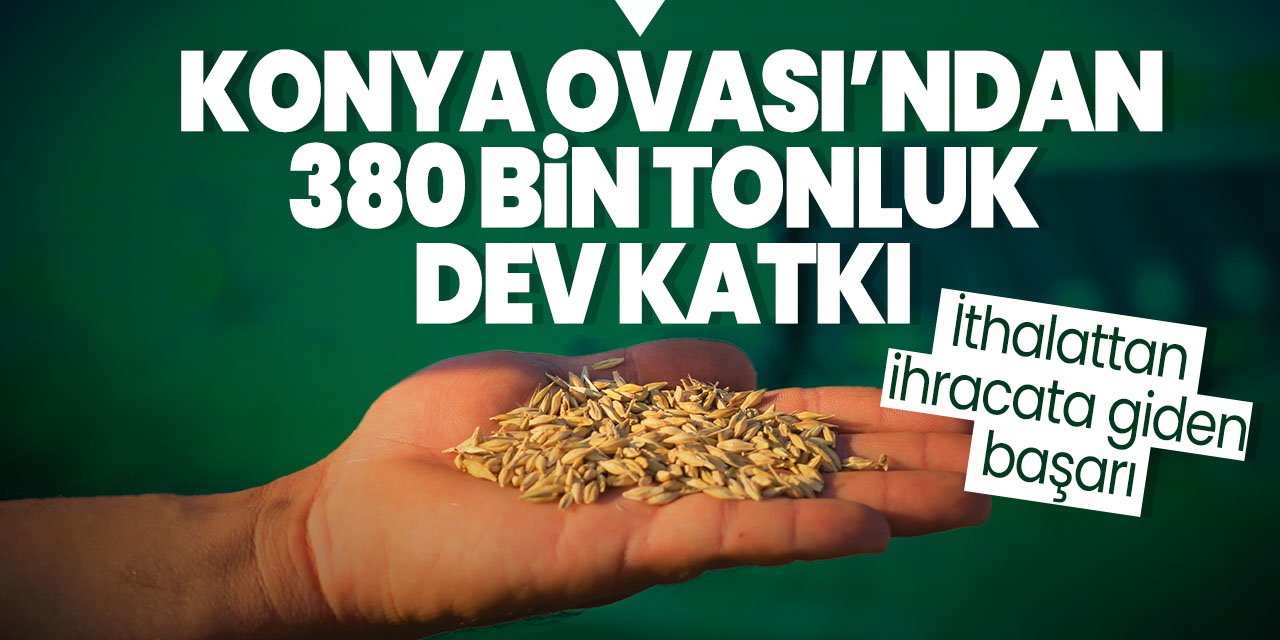 Türkiye tohumu artık ithal değil ihraç ediyor! Konya Ovası'ndan 380 bin tonluk katkı