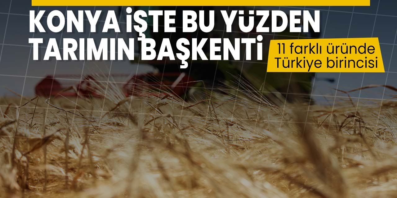 Konya işte bu yüzden tarımın başkenti! 11 farklı üründe Türkiye birincisi oldu! İşte o ürünler