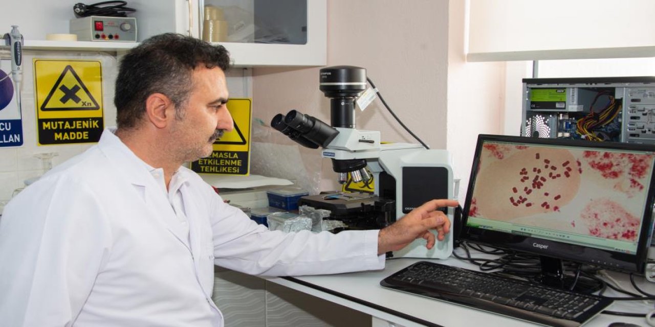 Konya'daki üniversiteden Türkiye'nin tuz ihtiyacının %40'ını karşılayan gölle ilgili proje! TÜBİTAK destekleyecek