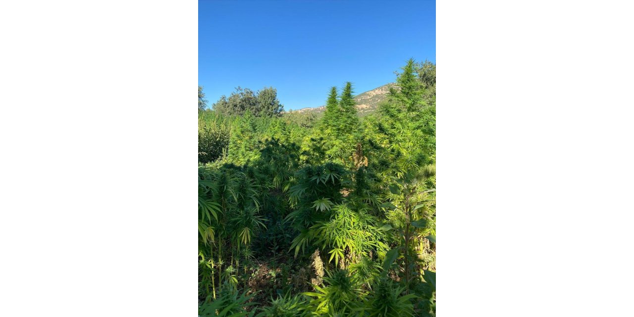 Eren Abluka-34 Narko Terör operasyonlarında uyuşturucu ele geçirildi