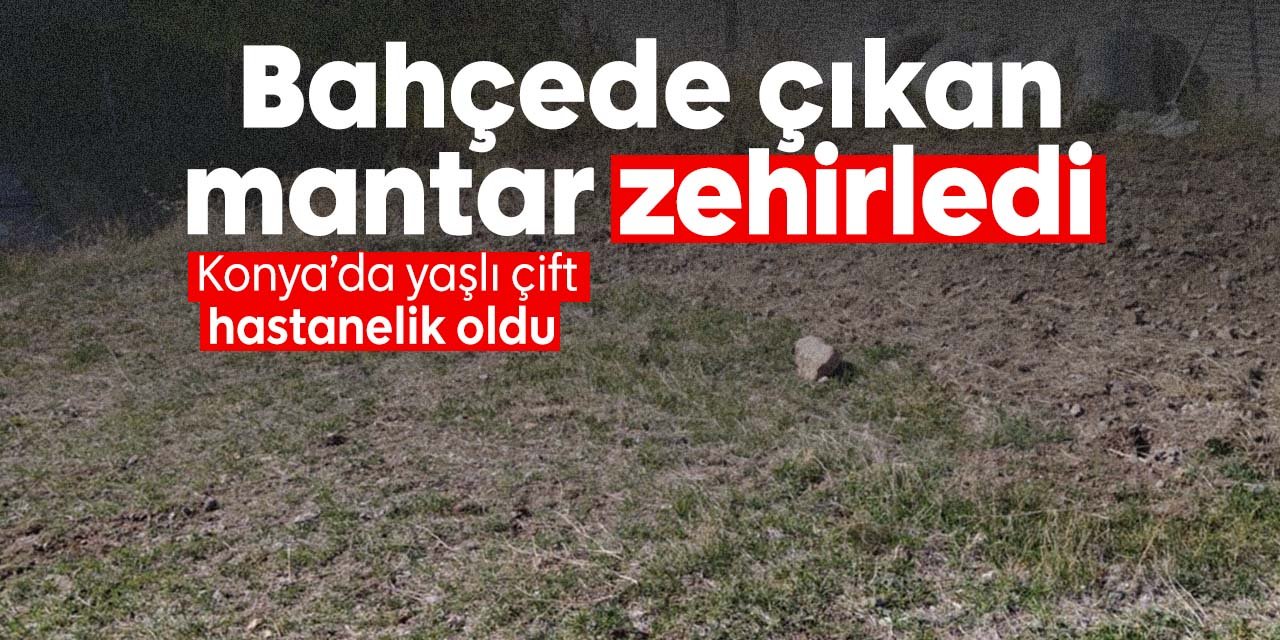 Adres Konya! Bahçelerinde çıkan mantar yaşlı çifti zehirledi