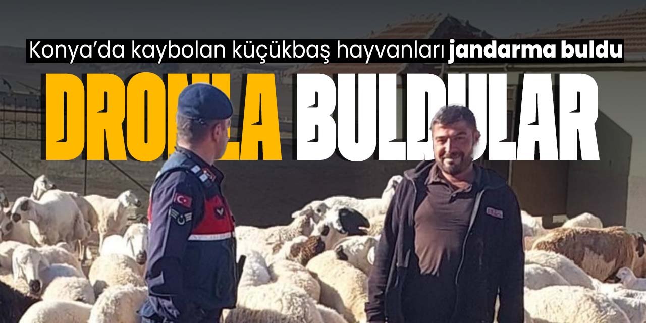 Konya'da kaybolan küçükbaş hayvanları jandarma dronla buldu