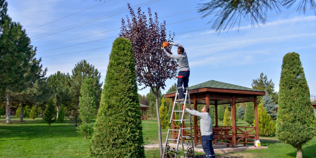 Meram’ın Park ve Bahçelerine Kış Bakımı