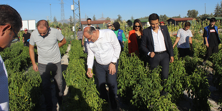Gençlerin yetiştirdiği sebze ve meyveler ihtiyaç sahiplerine dağıtılıyor