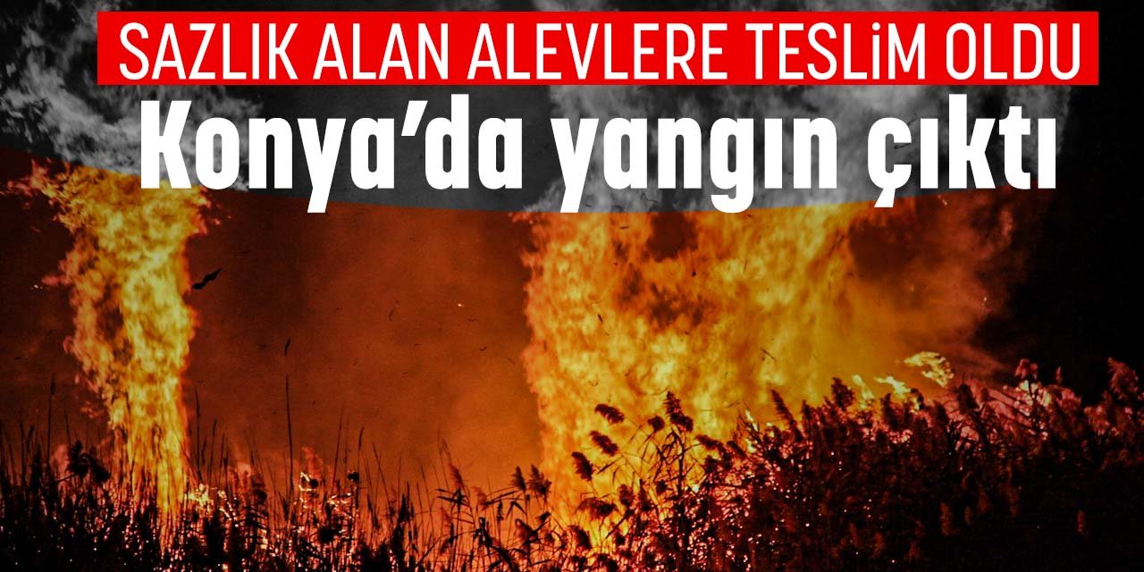 Konya'da sazlık alanda korkutan yangın!