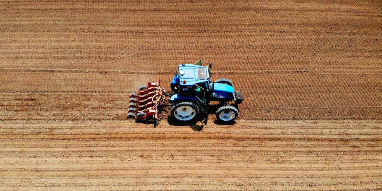 Uzmanı açıkladı! Hububat ekiminde doğru bilinen yanlışlar