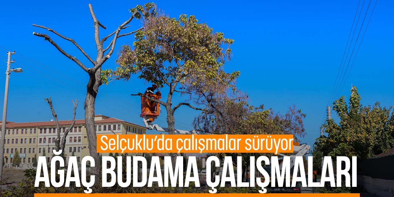 Selçuklu'da ağaç budama çalışmaları!