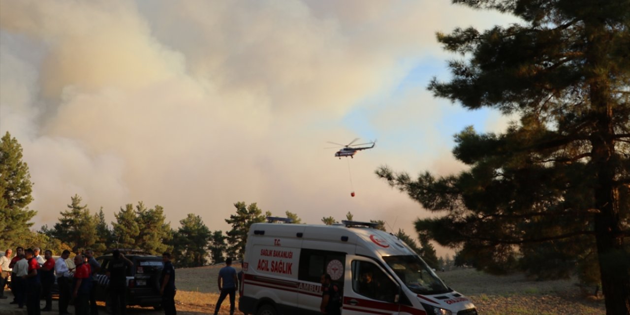 GÜNCELLEME 2 - Denizli-Muğla sınırında çıkan orman yangını kısmen kontrol altına alındı