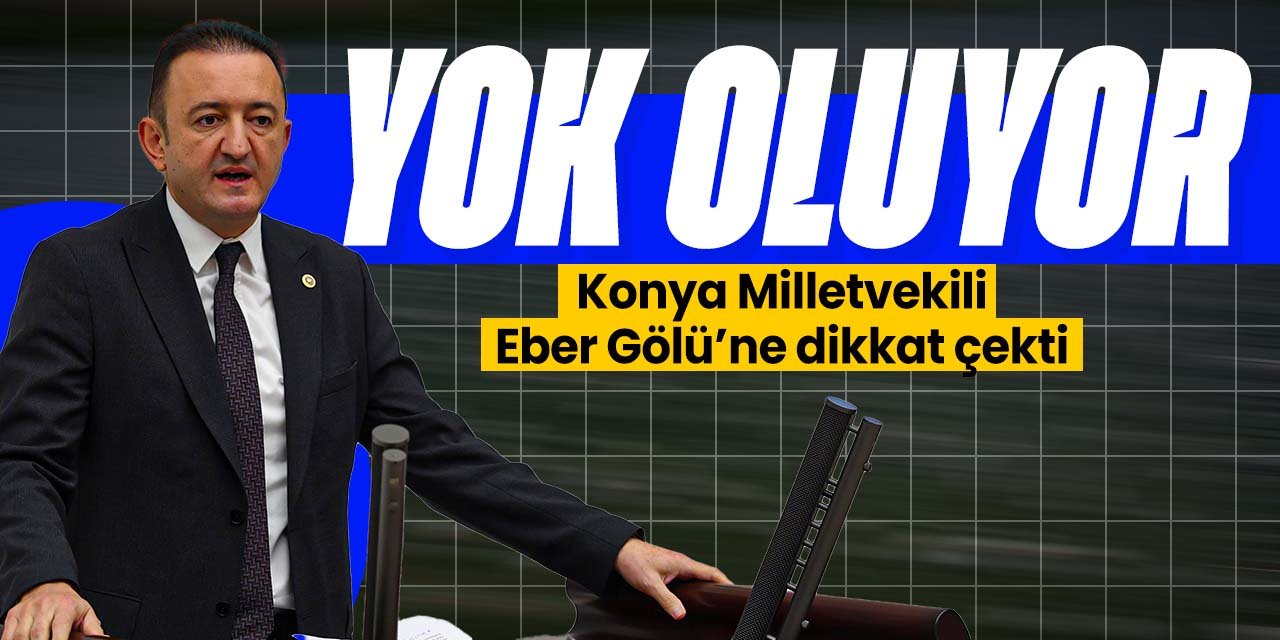 Konya Milletvekili Eber Gölü'ne dikkat çekti! "Yangınlarla yok ediliyor"