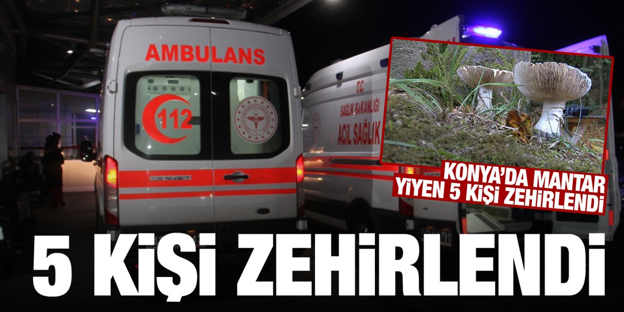 Konya'da 5 kişi zehirlenerek hastanelik oldu! Sebebi mantar çıktı