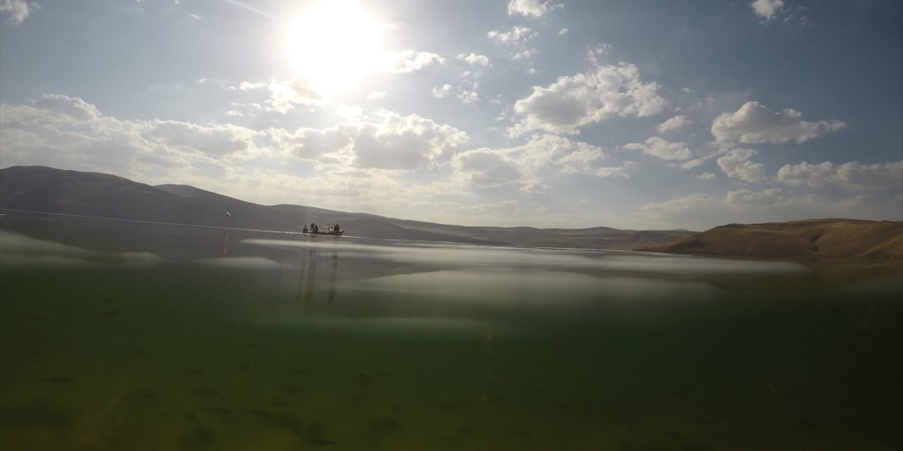 Balık Gölü'nde yumurtadan çıkan balık yavruları görüntülendi