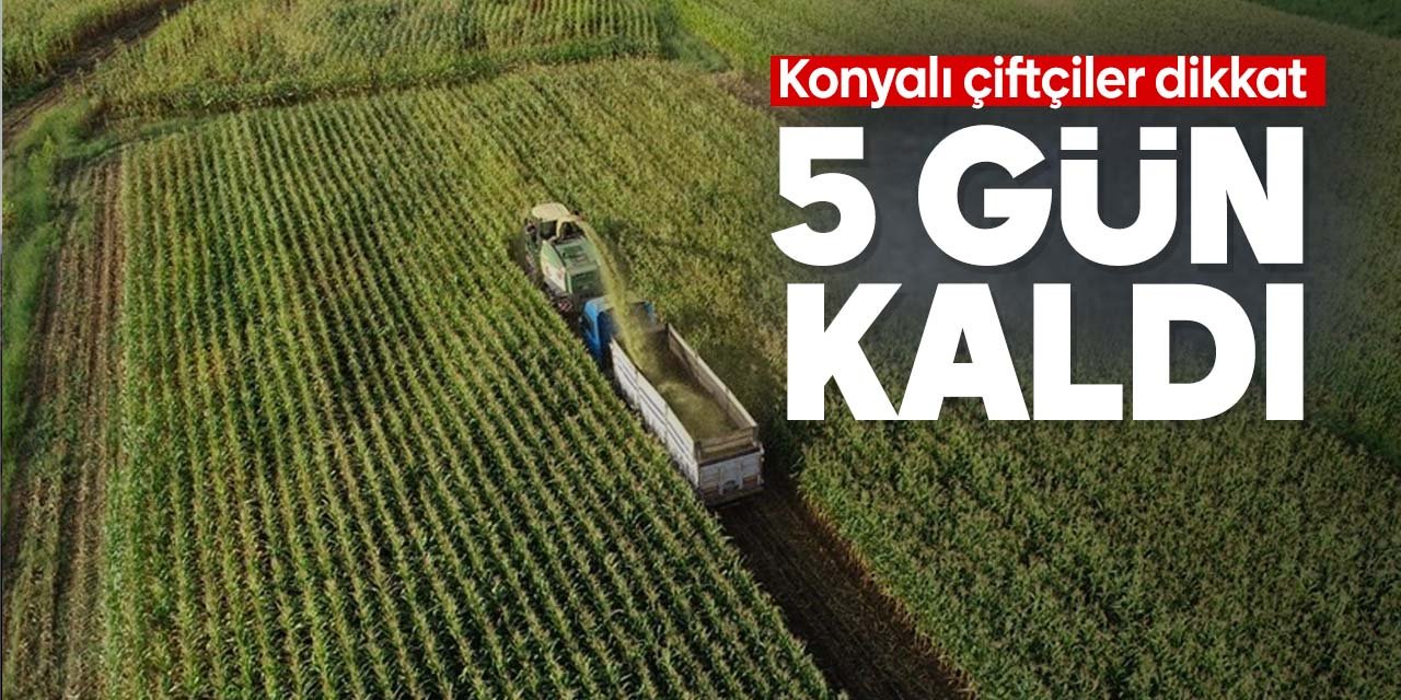 Konyalı çiftçilerin dikkatine! Tarım ve Orman Müdürlüğü'nden açıklama geldi: Başvuruların bitmesine 5 gün kaldı!